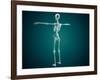 Conceptual Image of Human Skeletal System-null-Framed Art Print