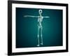 Conceptual Image of Human Skeletal System-null-Framed Art Print