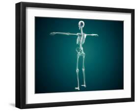 Conceptual Image of Human Skeletal System-null-Framed Art Print