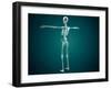 Conceptual Image of Human Skeletal System-null-Framed Art Print