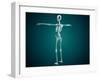 Conceptual Image of Human Skeletal System-null-Framed Art Print