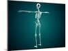 Conceptual Image of Human Skeletal System-null-Mounted Art Print
