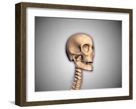Conceptual Image of Human Skull and Spinal Cord-null-Framed Art Print