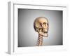 Conceptual Image of Human Skull and Spinal Cord-null-Framed Art Print