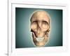 Conceptual Image of Human Skull, Front View-null-Framed Art Print