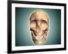 Conceptual Image of Human Skull, Front View-null-Framed Art Print