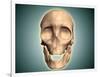 Conceptual Image of Human Skull, Front View-null-Framed Art Print