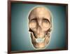 Conceptual Image of Human Skull, Front View-null-Framed Art Print