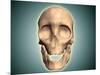 Conceptual Image of Human Skull, Front View-null-Mounted Art Print