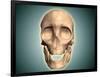 Conceptual Image of Human Skull, Front View-null-Framed Art Print