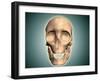 Conceptual Image of Human Skull, Front View-null-Framed Art Print