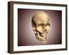 Conceptual Image of Human Skull, Perspective View-null-Framed Art Print