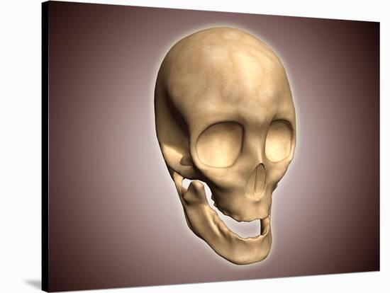 Conceptual Image of Human Skull, Perspective View-null-Stretched Canvas