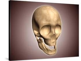 Conceptual Image of Human Skull, Perspective View-null-Stretched Canvas