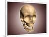 Conceptual Image of Human Skull, Perspective View-null-Framed Art Print