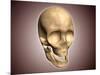 Conceptual Image of Human Skull, Perspective View-null-Mounted Art Print