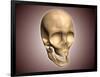 Conceptual Image of Human Skull, Perspective View-null-Framed Art Print