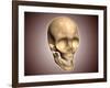 Conceptual Image of Human Skull, Perspective View-null-Framed Art Print