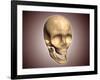 Conceptual Image of Human Skull, Perspective View-null-Framed Art Print