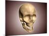 Conceptual Image of Human Skull, Perspective View-null-Mounted Art Print