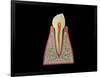 Conceptual Image of Human Tooth-null-Framed Art Print