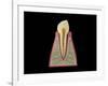 Conceptual Image of Human Tooth-null-Framed Art Print