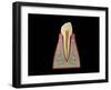 Conceptual Image of Human Tooth-null-Framed Art Print