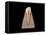 Conceptual Image of Human Tooth-null-Framed Stretched Canvas