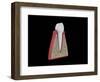 Conceptual Image of Human Tooth-null-Framed Art Print