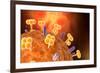 Conceptual Image of Influenza Causing Flu-null-Framed Art Print