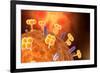 Conceptual Image of Influenza Causing Flu-null-Framed Art Print