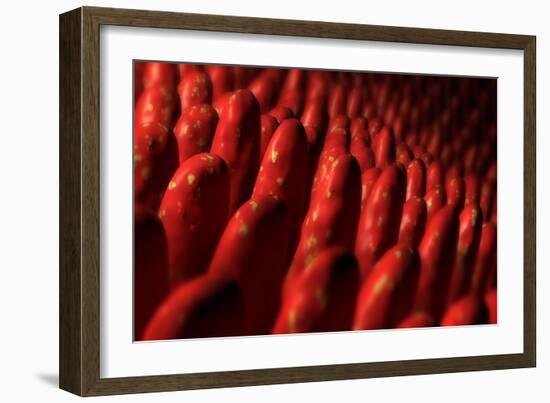 Conceptual Image of Intestinal Villi-null-Framed Premium Giclee Print