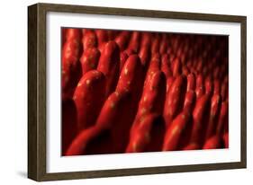 Conceptual Image of Intestinal Villi-null-Framed Premium Giclee Print