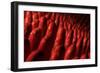 Conceptual Image of Intestinal Villi-null-Framed Premium Giclee Print