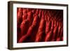 Conceptual Image of Intestinal Villi-null-Framed Art Print