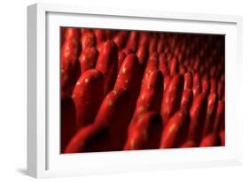 Conceptual Image of Intestinal Villi-null-Framed Art Print