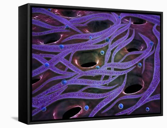 Conceptual Image of Lactobacillus Acidophilus-null-Framed Stretched Canvas