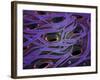 Conceptual Image of Lactobacillus Acidophilus-null-Framed Art Print