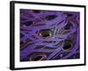 Conceptual Image of Lactobacillus Acidophilus-null-Framed Art Print