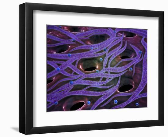 Conceptual Image of Lactobacillus Acidophilus-null-Framed Art Print