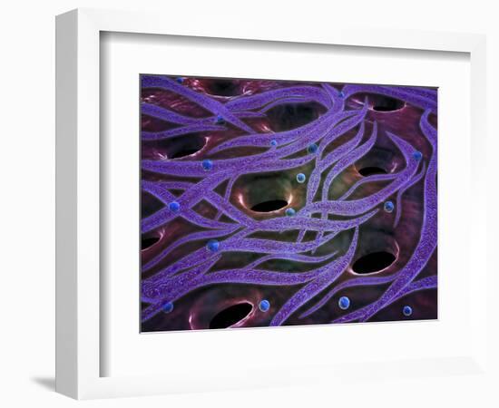 Conceptual Image of Lactobacillus Acidophilus-null-Framed Art Print