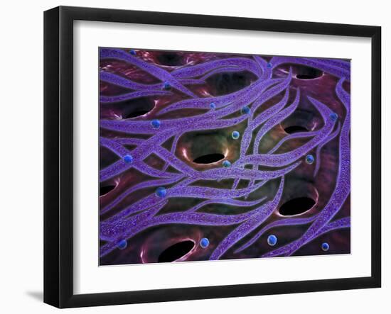 Conceptual Image of Lactobacillus Acidophilus-null-Framed Art Print