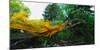 Conceptual Image of Landscape-Clive Nolan-Mounted Photographic Print