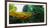 Conceptual Image of Landscape-Clive Nolan-Framed Photographic Print