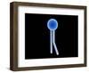Conceptual Image of Lipid-null-Framed Art Print