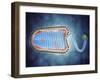 Conceptual Image of Lyssavirus-null-Framed Art Print