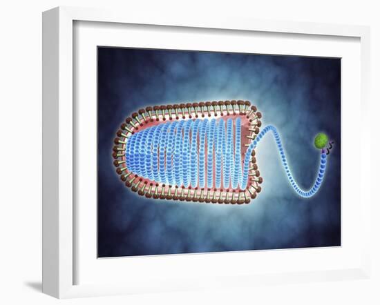 Conceptual Image of Lyssavirus-null-Framed Art Print