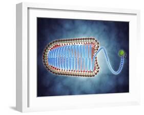 Conceptual Image of Lyssavirus-null-Framed Art Print