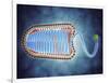 Conceptual Image of Lyssavirus-null-Framed Art Print