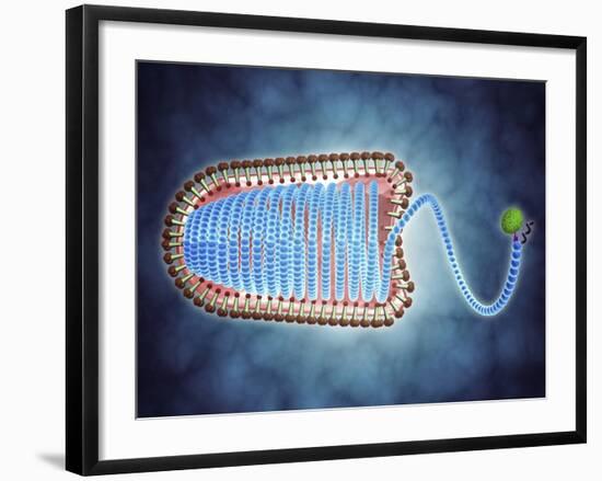 Conceptual Image of Lyssavirus-null-Framed Art Print